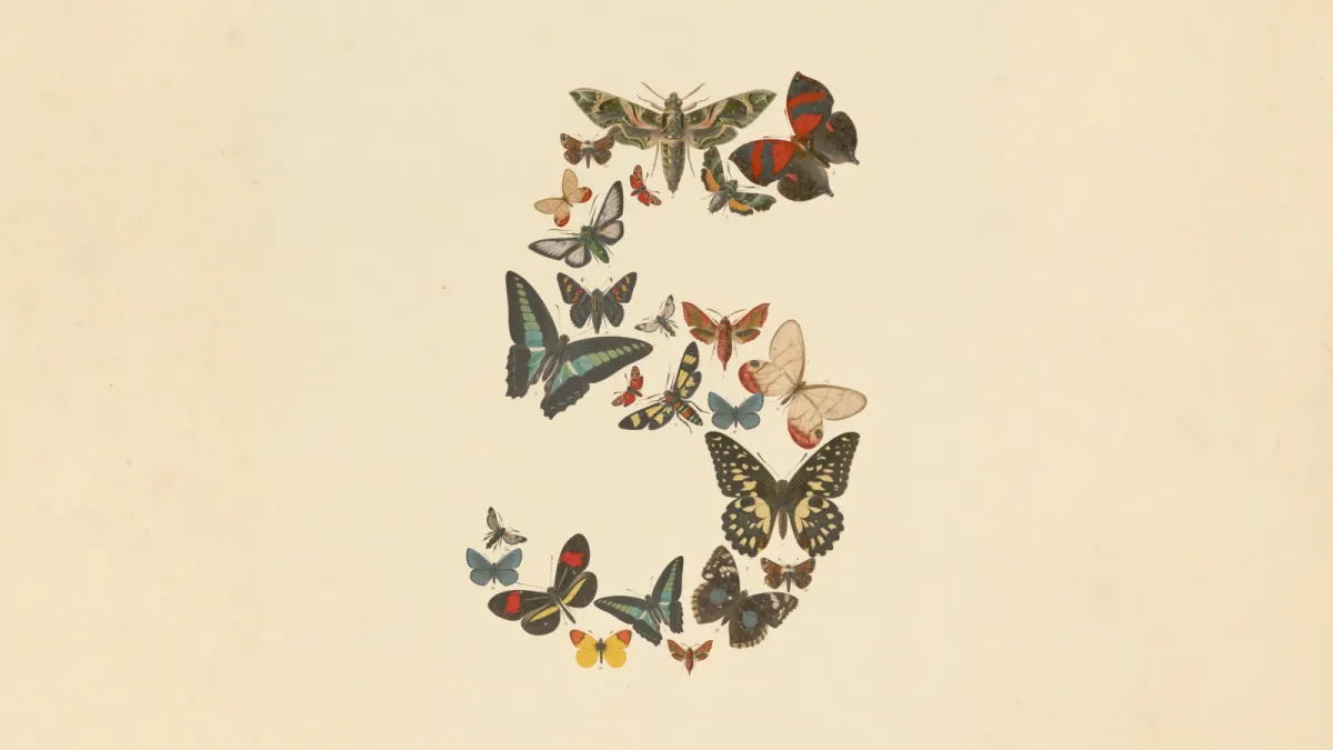 Anthropic's launch art for the Claude 5 generation: the number five composed of vintage butterfly and moth illustrations on a cream background